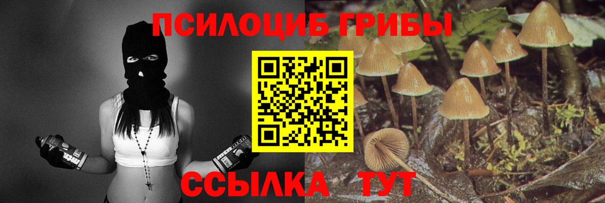 Галлюциногенные грибы Magic Shrooms Щёлково