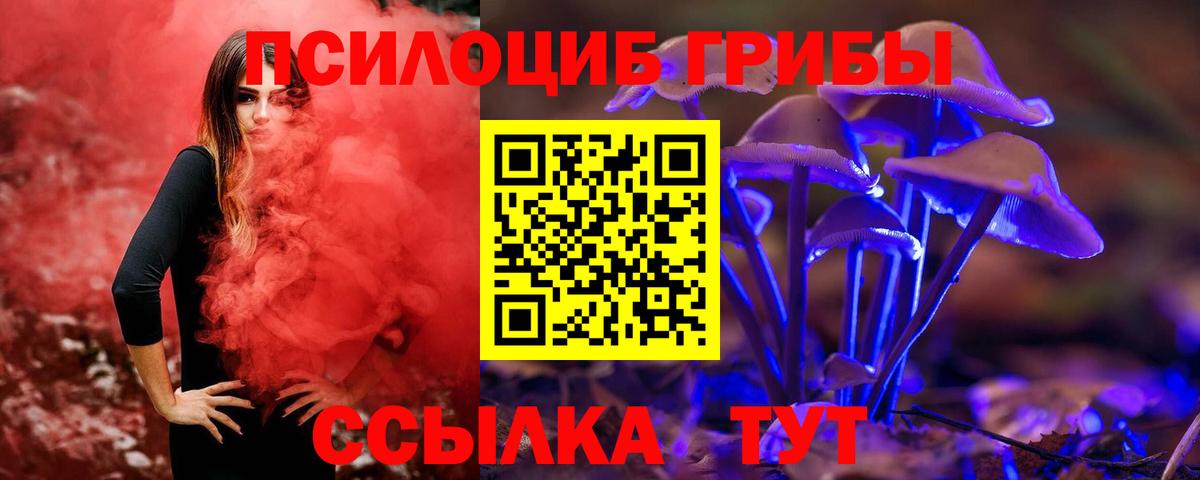 Щёлково  Псилоцибиновые грибы Psilocybe  Вход с VPN 